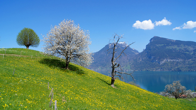 Themenwanderungen - 100 Top-Wanderungen in der Schweiz und in Liechtenstein
