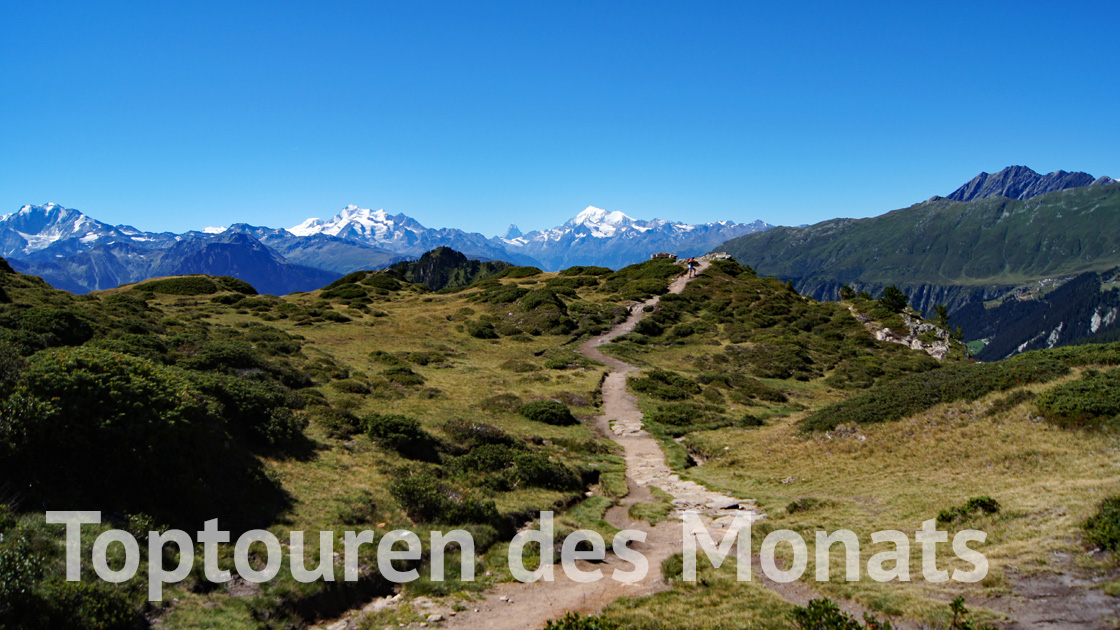 Toptouren des Monats