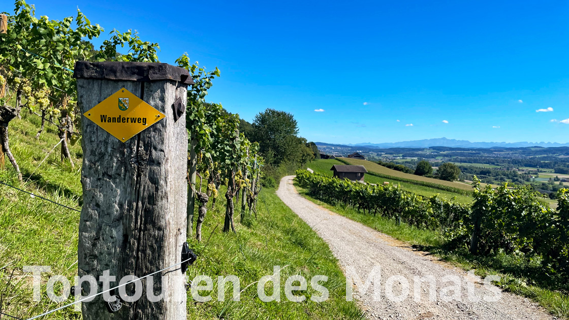 Toptouren des Monats
