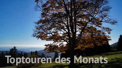 Toptouren des Monats