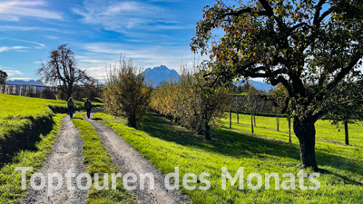 Toptouren des Monats