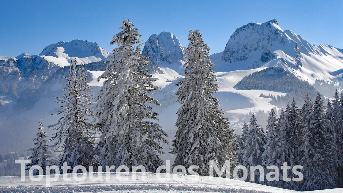 Toptouren des Monats