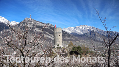 Toptouren des Monats