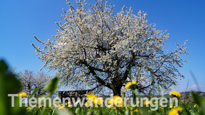 Spannende und beliebte Themenwanderungen