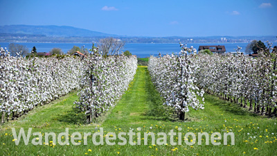 Schweizer Wanderdestinationen