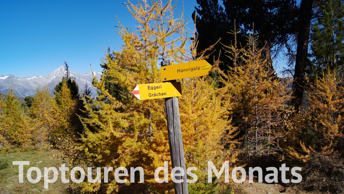 Toptouren des Monats
