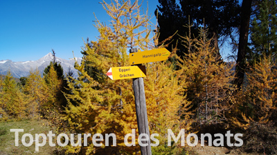 Toptouren des Monats