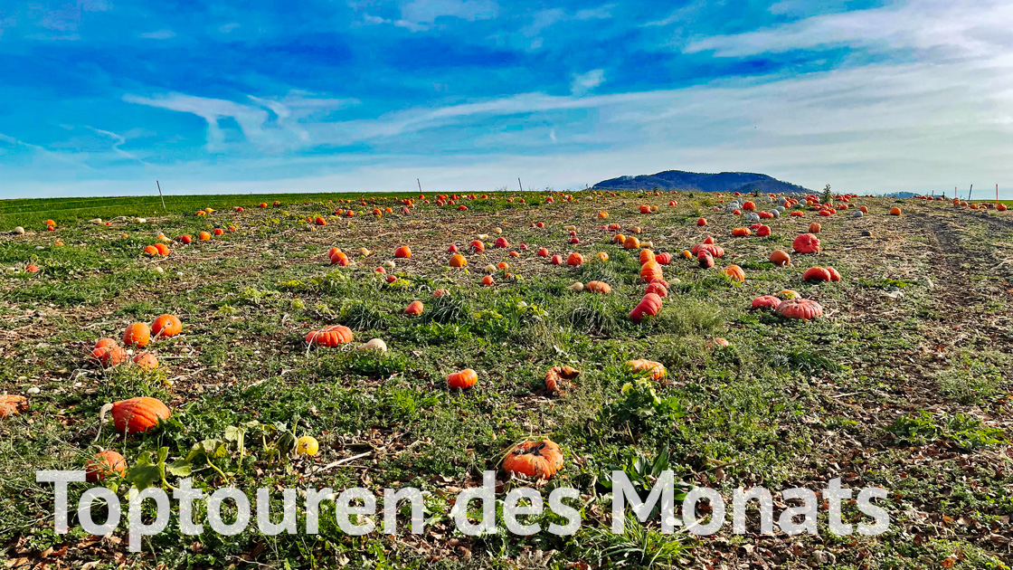 Toptouren des Monats