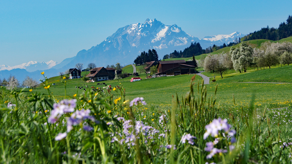 50 randonnées de printemps