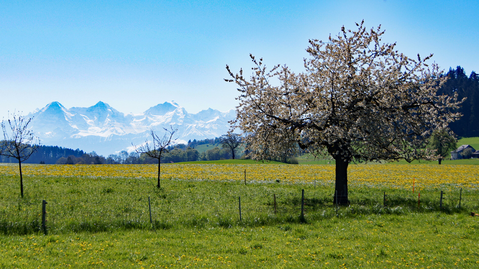 48 randonnées panoramique de printemps