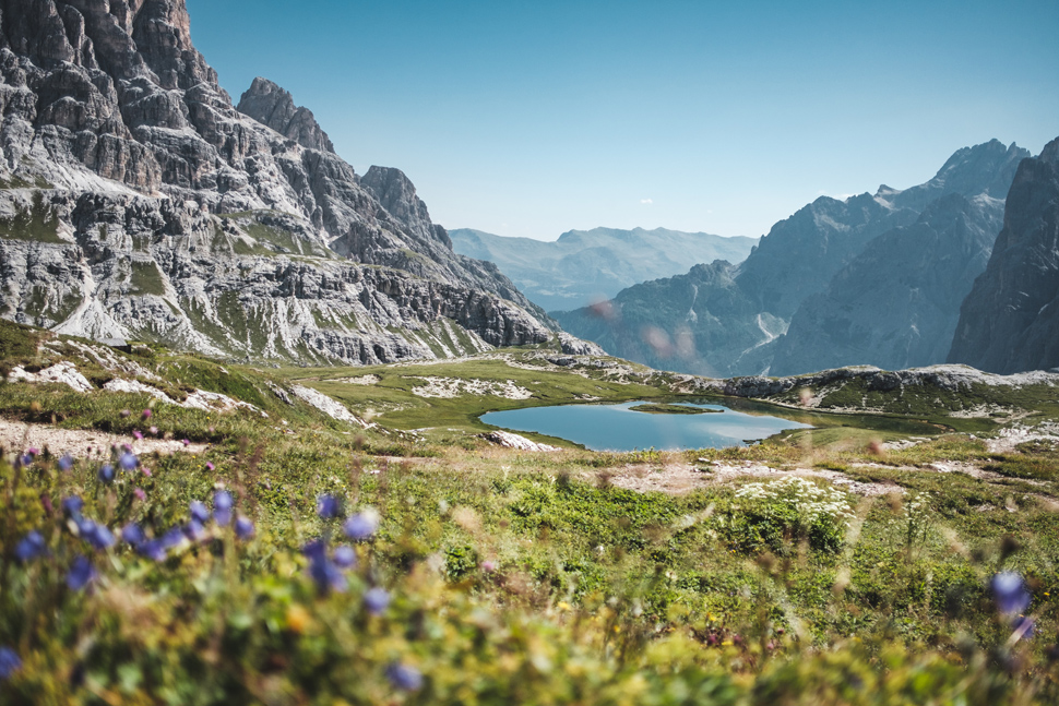 Biodiversität in den Alpen - Foto von Jonas Verstuyft auf Unsplash