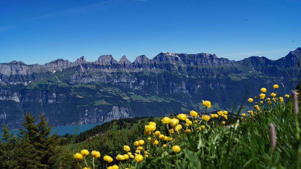 Toptouren des Monats