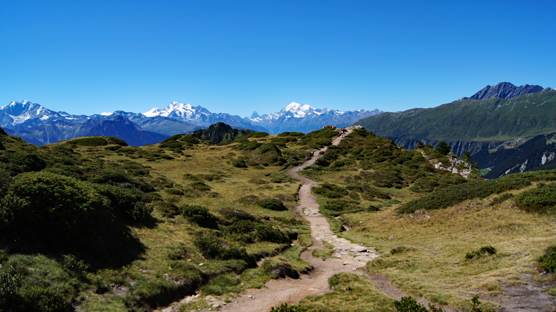 Toptouren des Monats