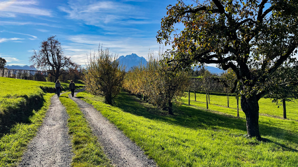 Toptouren des Monats Toptouren des Monats