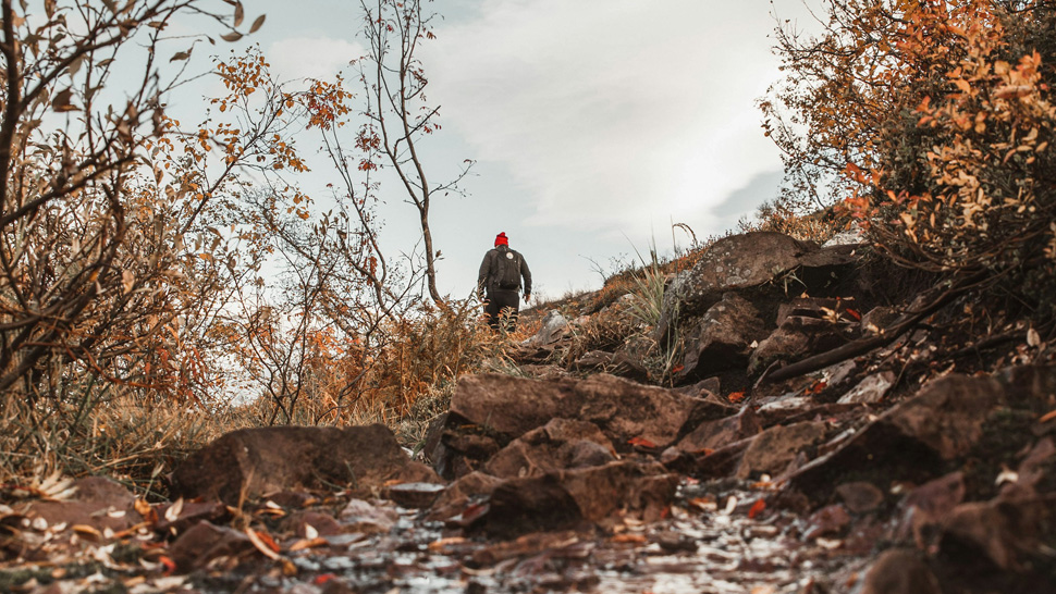 Sicher im Herbst wandern - Foto von Peter Trones auf Unsplash Sicher im Herbst wandern - Foto von Peter Trones auf Unsplash