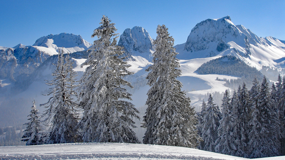 Toptouren des Monats Toptouren des Monats