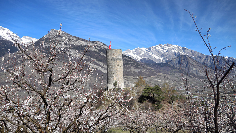 Toptouren des Monats