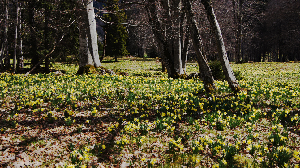 Toptouren des Monats