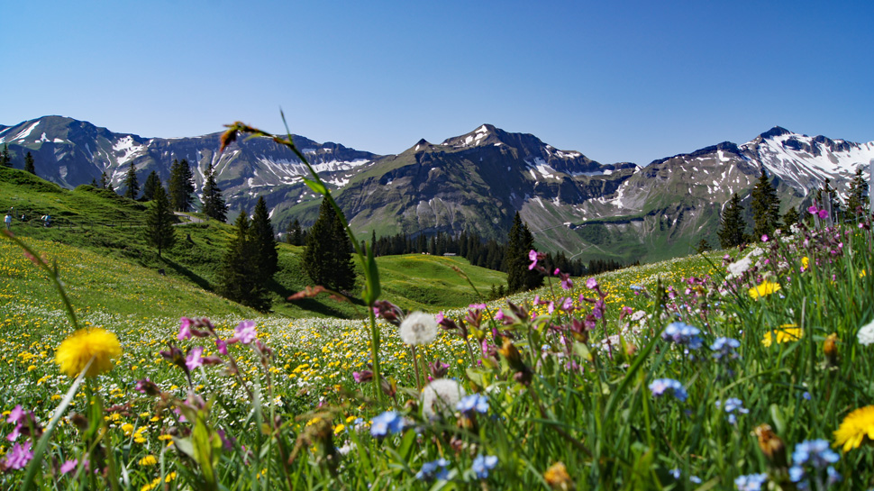 Toptouren des Monats
