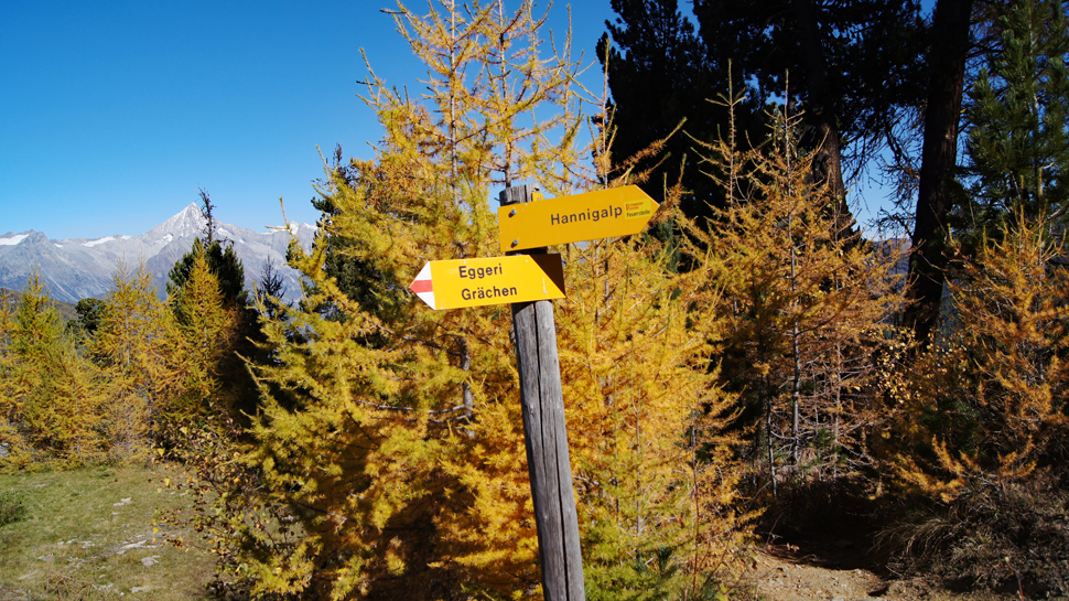 Toptouren des Monats Toptouren des Monats