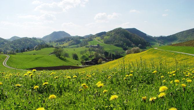 Der Aargauer Weg führt auf der ersten Etappe von Frick über die Staffelegg und über die Wasserfluh nach Aarau.