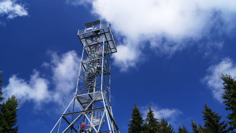 Aussichtsturm auf der Blueme (1'392 m).
