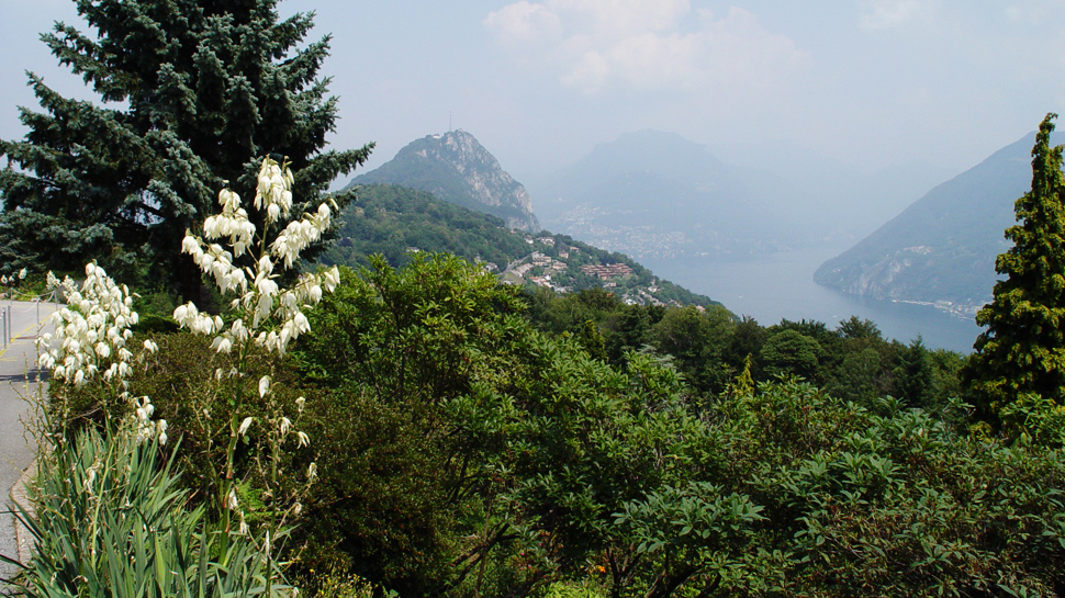 Botanischer Garten San Grato auf dem Monte San Salvatore.