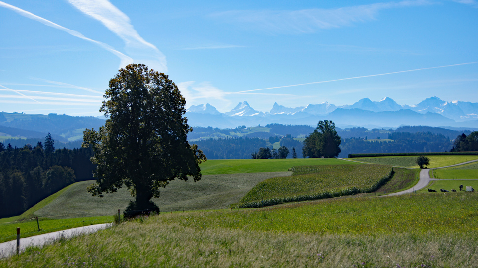 Touren im Emmental - Blick auf die Berner Alpenkette