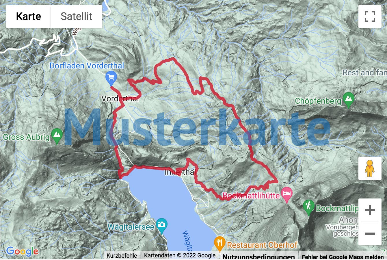 Google-Karte mit aufgezeichneter Route