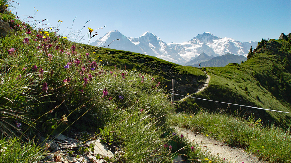 Touren in der Jungfrau Region - Eiger, Mönch und Jungfrau