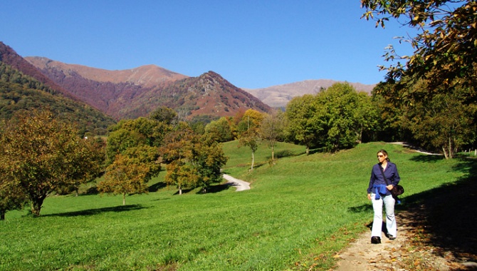 Auf dem Kastanienweg im Malcantone.