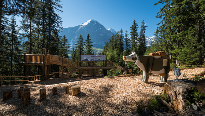 Wandern mit der Kuh Lieselotte am Männlichen im Berner Oberland