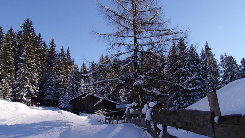 20/33 Winterwanderweg bei Klosters.