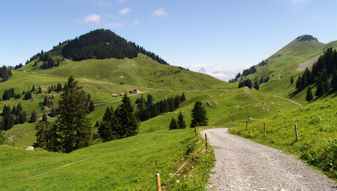 Der Nidwaldner Höhenweg in der Gegend der Klewenalp.