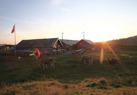 Die Ochsenhütte liegt direkt am Toggenburger Höhenweg.