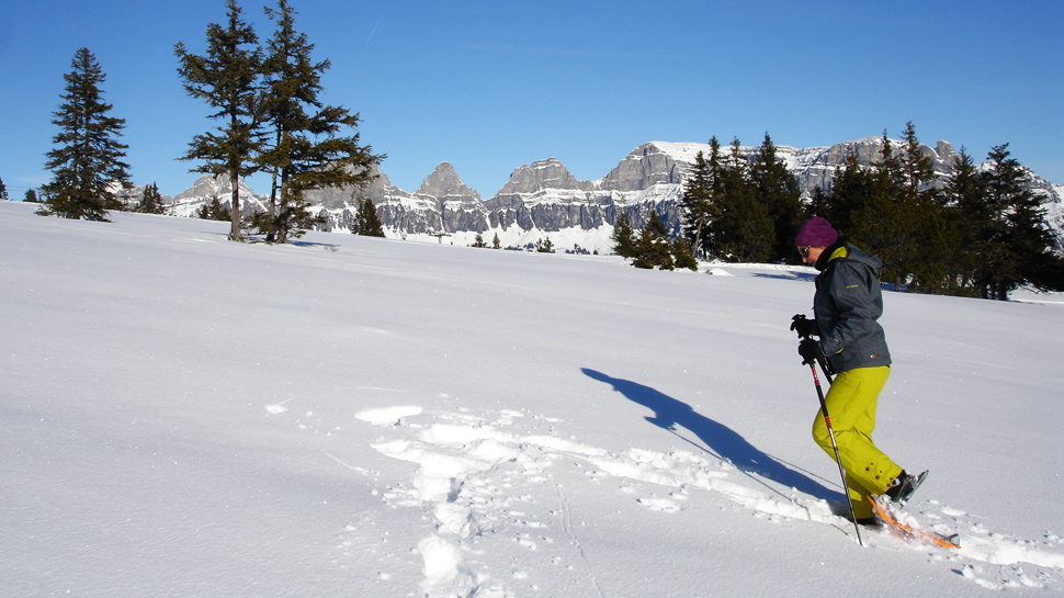 Beim Schneeschuhlaufen wandert man durch wunderschöne Landschaften.
