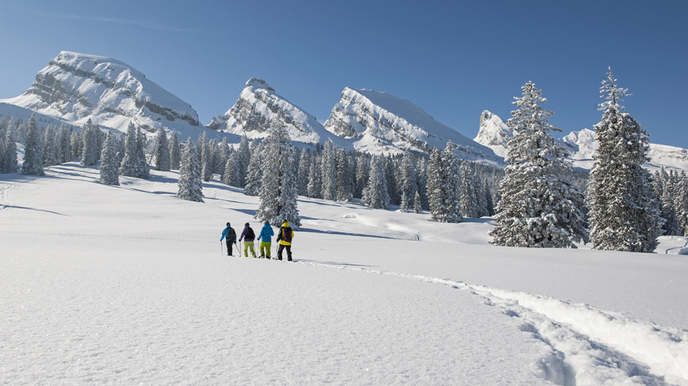 Schneeschuhtour auf der Alp Sellamatt im Toggenburg (© chaeserrugg.ch)