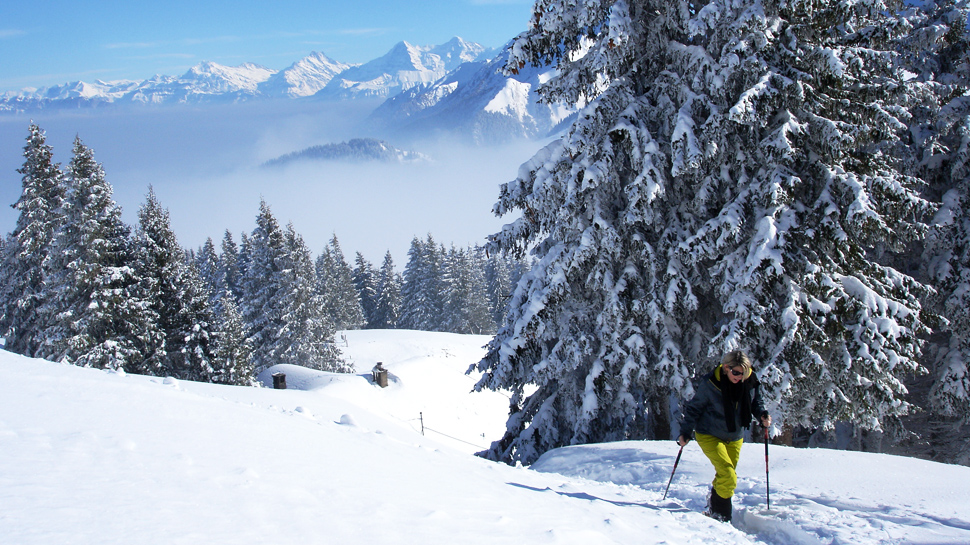 Schneeschuhwanderung auf dem Gurnigel mit Blick auf die Berner Alpen.