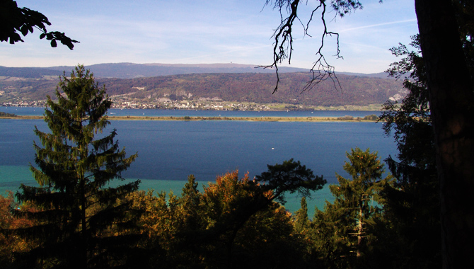 Auf der ersten Etappe des Seeland-Solothurn-Wegs steht der Bielersee im Zentrum.
