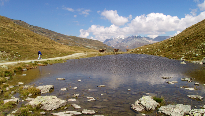 Die zweite Etappe der Senda Segantini führt über den 2'310 m hohen Septimerpass.