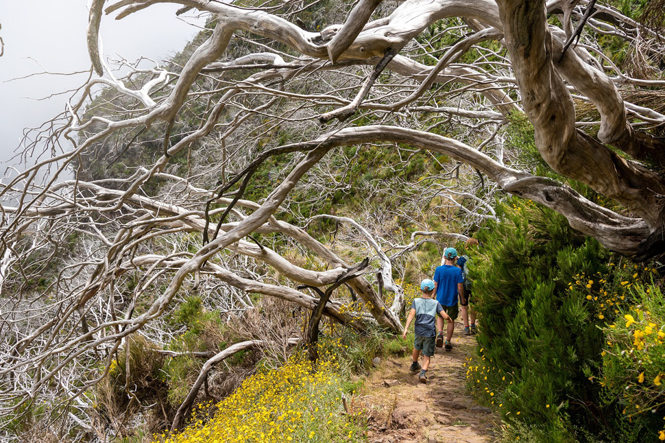 Verletzungen beim Wandern richtig vorbeugen