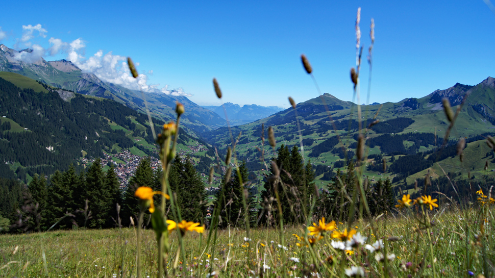 Wanderungen in Adelboden und Umgebung