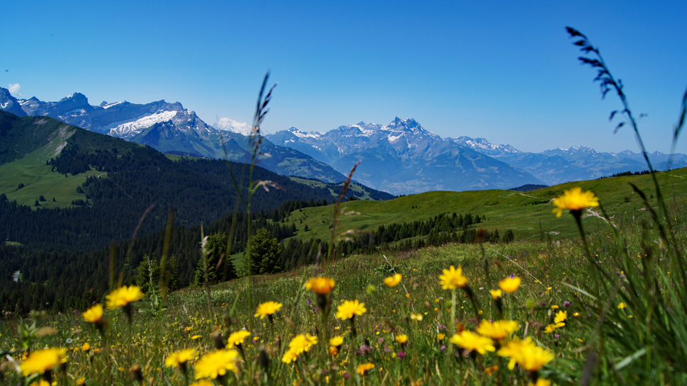 Wanderungen in den Waadtländer Alpen