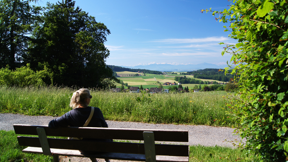 Wanderregion Zürich