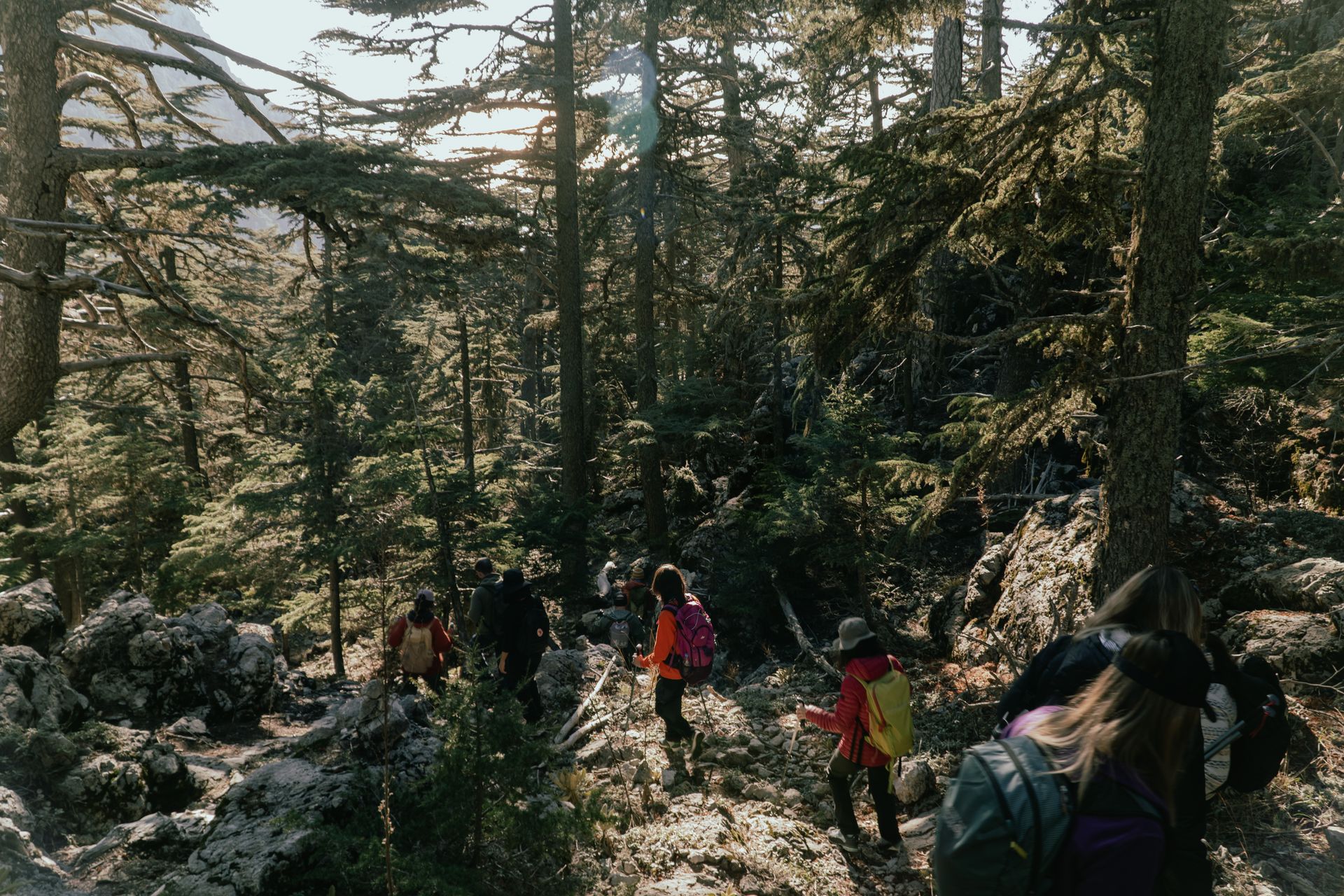 So gelingt beim Wandern die digitale Tourenplanung (© pexels.com) So gelingt beim Wandern die digitale Tourenplanung (© pexels.com)