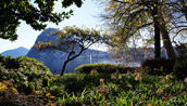 Lugano: Ausblick vom Parco Civico auf den Luganersee und den Monte San Salvatore.