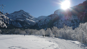 Malerischer Winterwanderweg von Lauenen zum Lauenensee (© Gstaad Saanenland Tourismus).