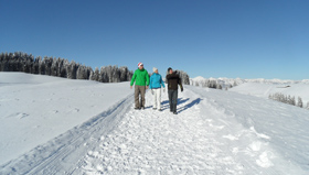 Winterwanderweg auf dem Sparenmoos (© Gstaad Saanenland Tourismus).
