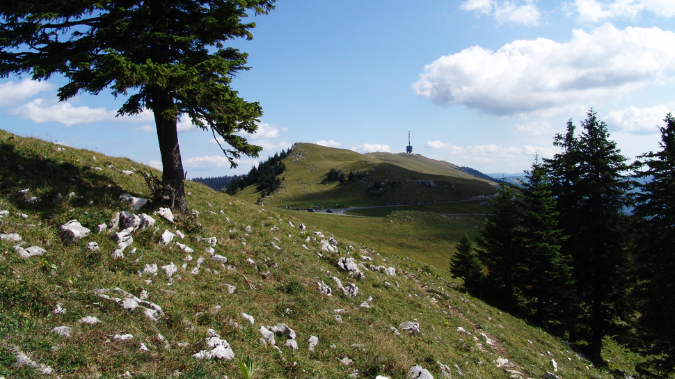 Wanderungen rund um den Chasseral