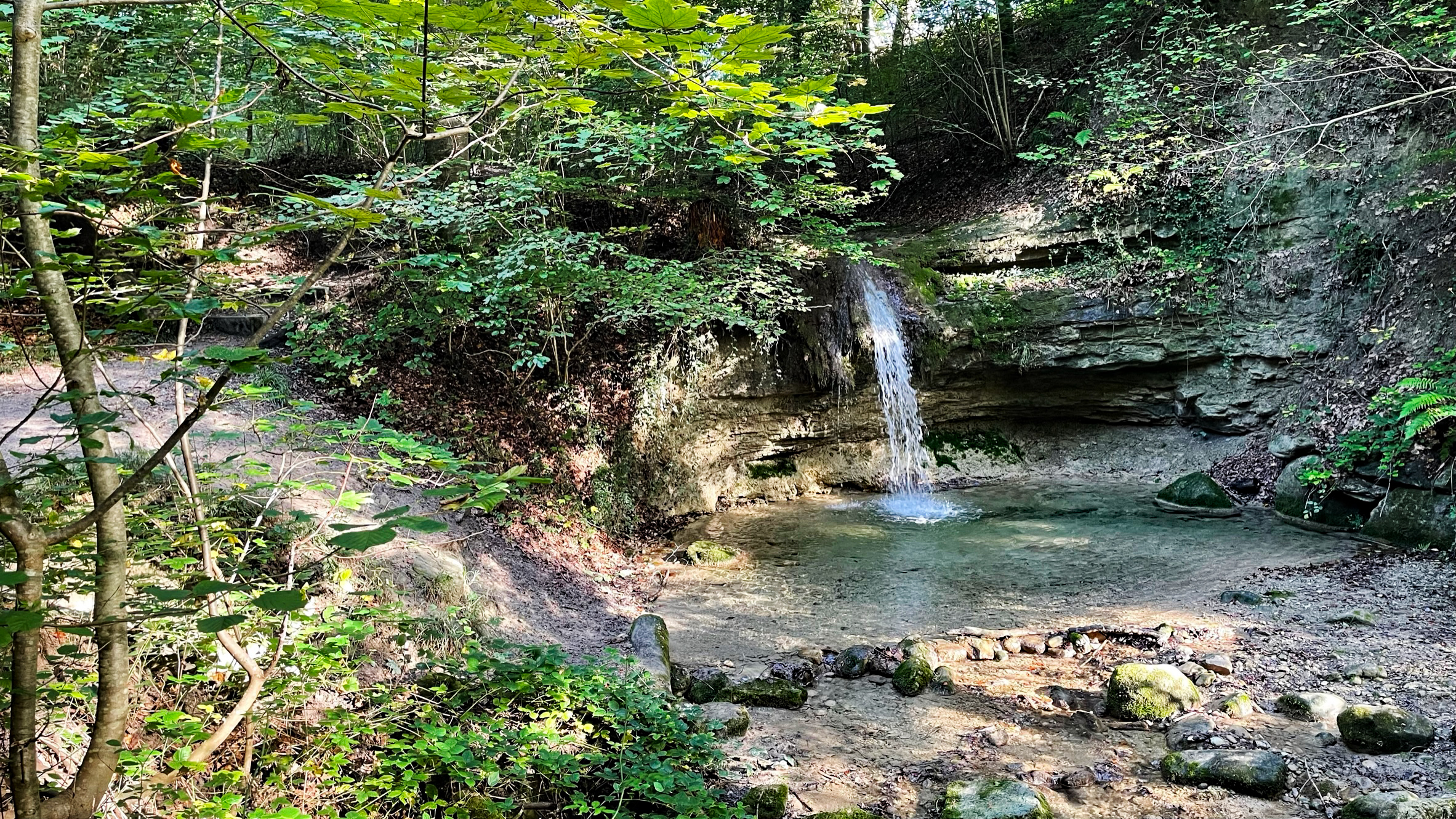 Wanderung Küsnachter Tobel und Dorfbachtobel
